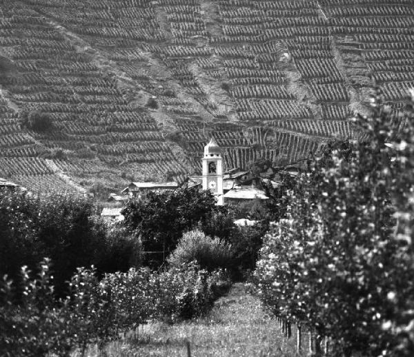 Paesaggio collinare - alberi da frutto - terrazzamenti - borgo