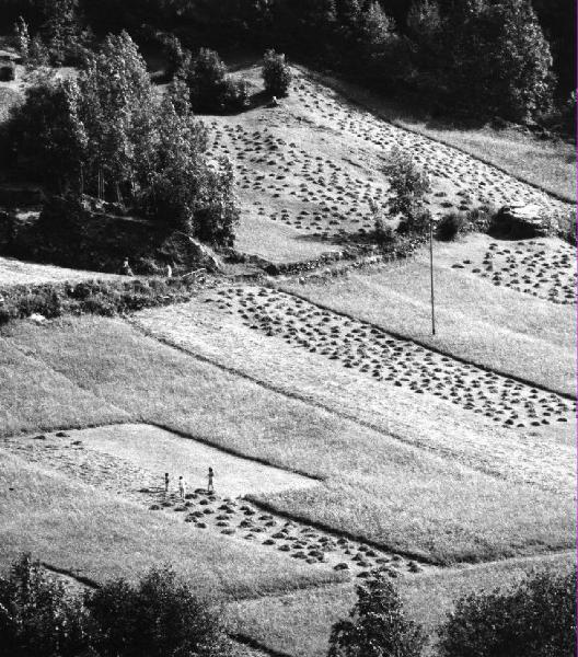 Paesaggio agricolo - fienagione