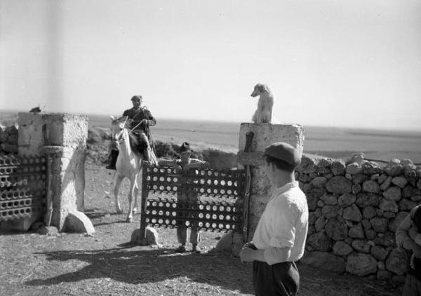 Italia del Sud. Puglia - ingresso di un podere