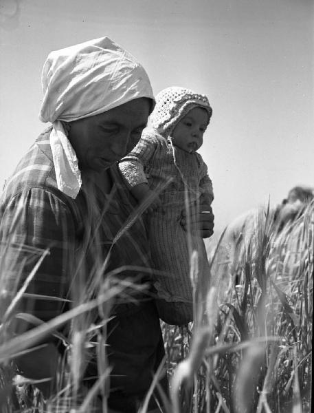 Italia del Sud. Puglia - coltura di grano - donna - bracciante con neonato
