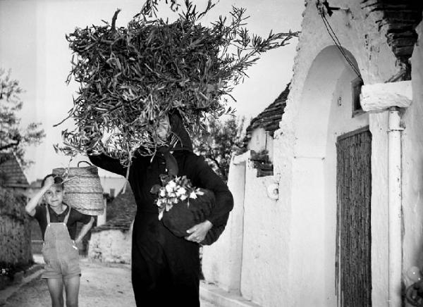 Italia del Sud. Puglia - Alberobello - donna trasporta fascine d'ulivo in testa
