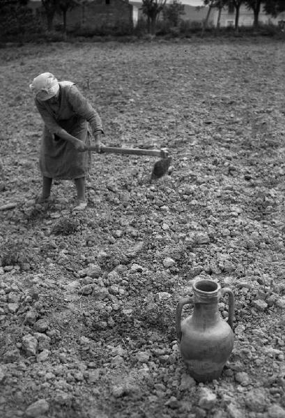 Italia del Sud. Bernalda - donna dissoda un campo con la vanga - brocca