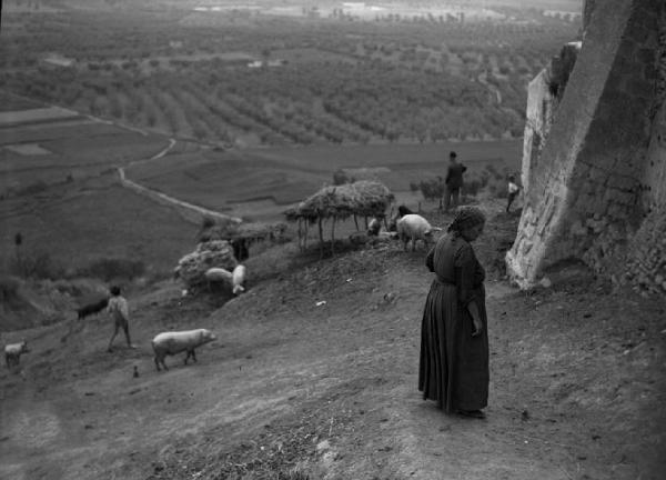 Italia del Sud. Bernalda - contadina - maiali