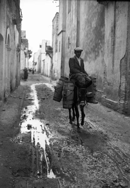 Italia del Sud. Bernalda - uomo a dorso di mulo trasporta botticelle