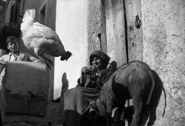 Italia del Sud. Calabria - donna lavora a maglia sulla soglia di casa - accanto, gallina e maiale