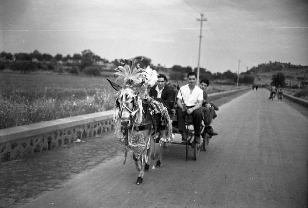 Italia del Sud. Sicilia - strada - carretto siciliano