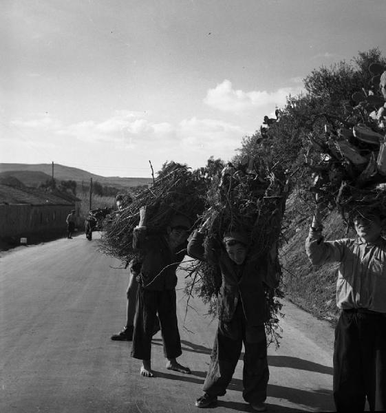 Italia del Sud. Sardegna - uomini trasportano fascine in testa