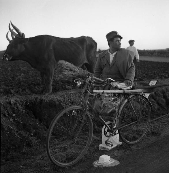 Italia del Sud. Sardegna - strada Nuoro-Macomer - uomo in bicicletta