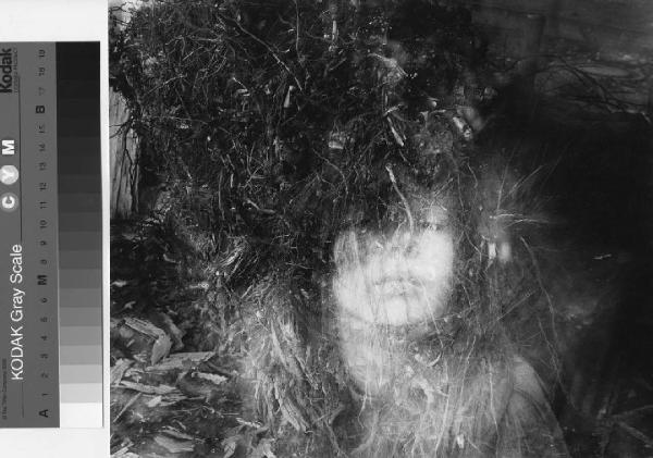 Ritratto femminile - volto - radici di albero divelto