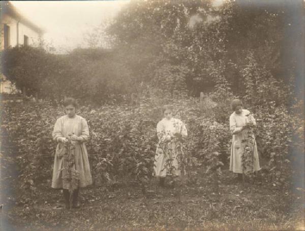 Ritratto di gruppo - Scuola agraria femminile di Niguarda - Ragazze durante una lezione