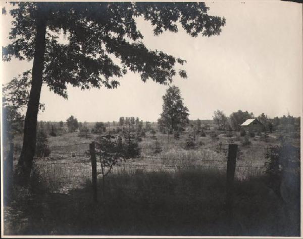 Morimondo - Cascina Prato Ronco - Pineta