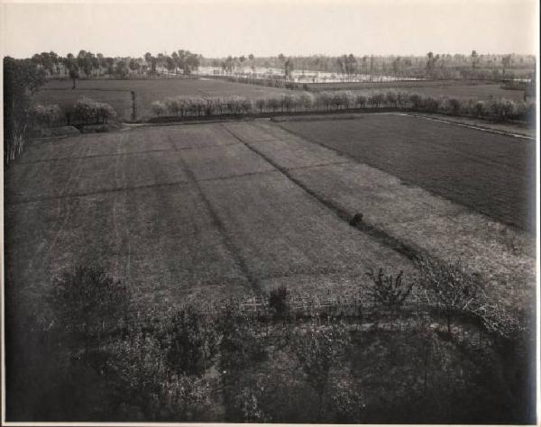 Cerro al Lambro - Riozzo - Podere Grande - Campi agricoli