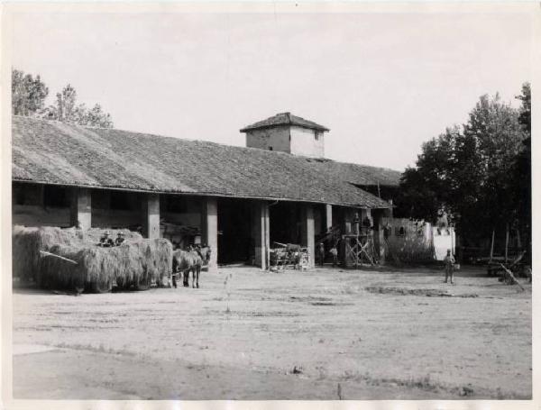 Carpiano - Cascina Castello di Carpiano - Stallone