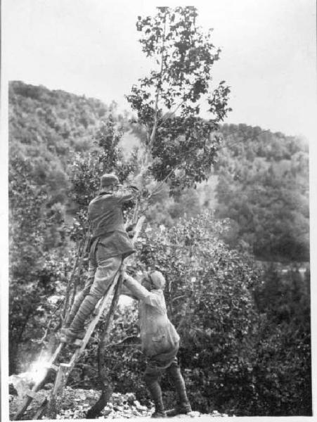 Linee telefoniche - Danni di guerra - Riparazione da parte del genio radiotelegrafisti dell'esercito italiano -- Slovenia - Monte Korada