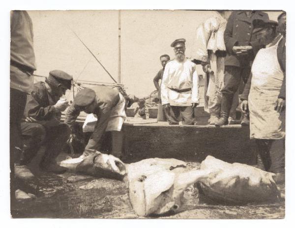 Guerra russo-giapponese - Russia - Manciuria - Khabarovsk - Lavorazione del pesce sul pontile del porto