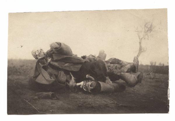 Guerra russo-giapponese - Russia - Manciuria - Sandepu - Cadaveri di soldati russi caduto nella battaglia di Sandepu, congelati e parzialmente mangiati dagli animali