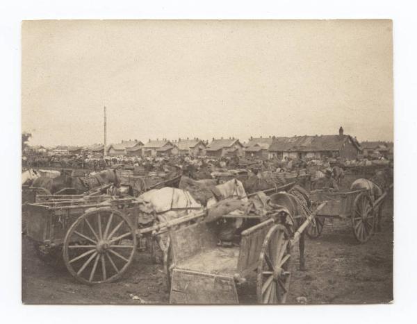 Guerra russo-giapponese - Russia - Manciuria - Gungiulin - Carri per il trasporto dei viveri dell'esercito russo in attesa di essere caricati