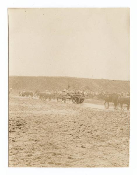 Guerra russo-giapponese - Russia - Manciuria - Gungiulin - Carovana di carri dell'esercito russo per il trasporto di viveri