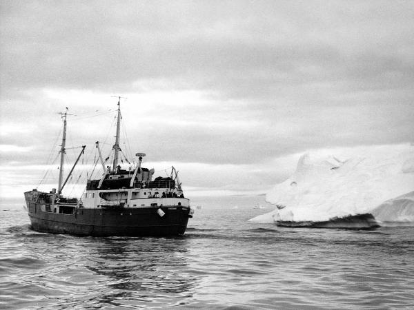 Groenlandia occidentale - Nord dell'Oceano Atlantico - Baia di Melville - Icebergs - Nave - "Tikerak"