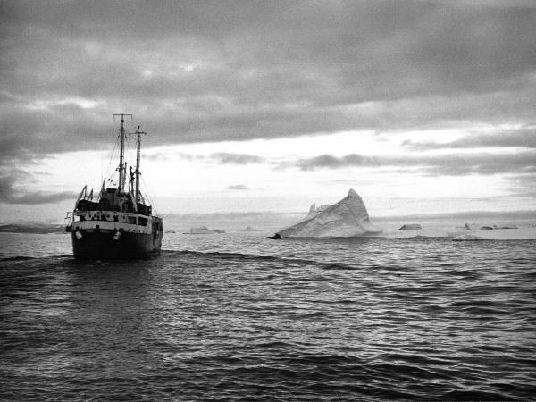 Groenlandia occidentale - Nord dell'Oceano Atlantico - Baia di Melville - Icebergs - Nave