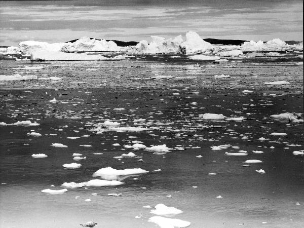 Groenlandia occidentale - Nord dell'Oceano Atlantico - Baia di Melville? - Icebergs