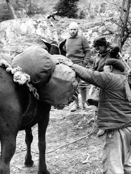 Ritratto di gruppo - Monzino, Guido - Patagonia cilena - Provincia di Ultima Esperanza - Ande patagoniche - Massiccio del Paine - Paine principale - Campo base - Cavallo