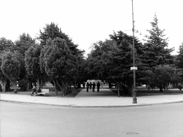 Cile meridionale - Provincia di Magallanes - Punta Arenas - Parco