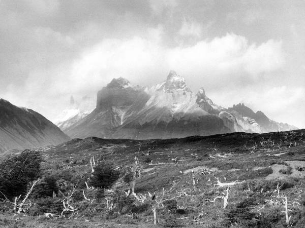 Patagonia cilena - Provincia di Ultima Esperanza - Ande patagoniche - Massiccio del Paine - Vette - Foresta bruciata