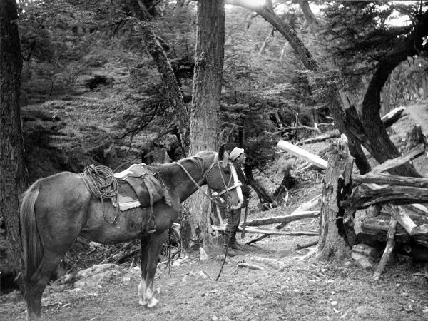 Patagonia cilena - Provincia di Ultima Esperanza - Ande patagoniche - Massiccio del Paine - Paine principale - Campo base - Cavallo - Ragazzo