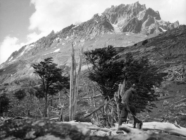 Patagonia cilena - Provincia di Ultima Esperanza - Ande patagoniche - Massiccio del Paine - Punta Bariloche - Foresta bruciata - Uomo - Barmasse, Gino