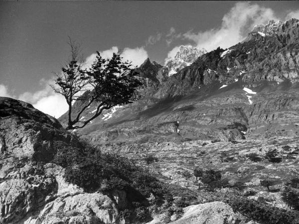 Patagonia cilena - Provincia di Ultima Esperanza - Ande patagoniche - Massiccio del Paine - Paine principale?