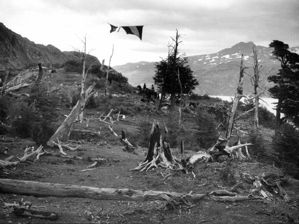 Patagonia cilena - Provincia di Ultima Esperanza - Ande patagoniche - Massiccio del Paine - Paine principale - Foresta bruciata