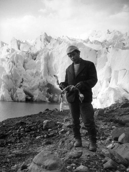 Ritratto - Ragazzo - Brigando, Mario - Patagonia cilena - Provincia di Ultima Esperanza - Ande patagoniche - Massiccio del Paine - Paine principale - Ghiacciaio - Carcassa di volatile