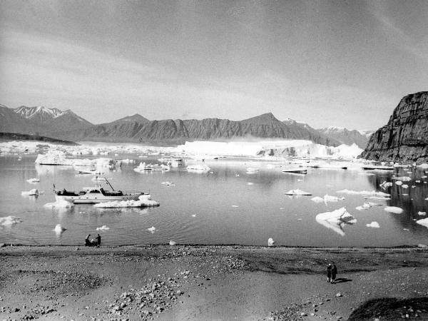 Groenlandia occidentale - Nord dell'Oceano Atlantico - Penisola di Akuliaruseq - Valle Nerdlerit - Barca - "Franz Terzo" - Icebergs