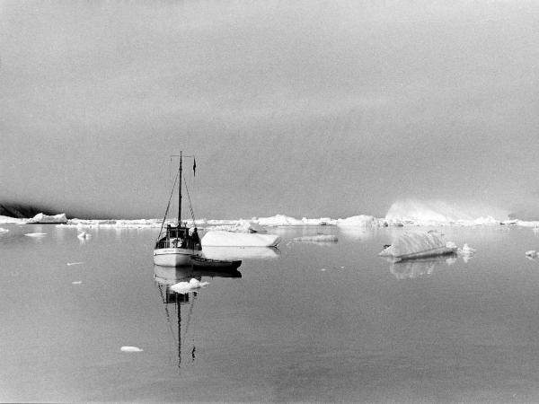 Groenlandia occidentale - Nord dell'Oceano Atlantico - Baia di Baffin - Peschereccio - Icebergs