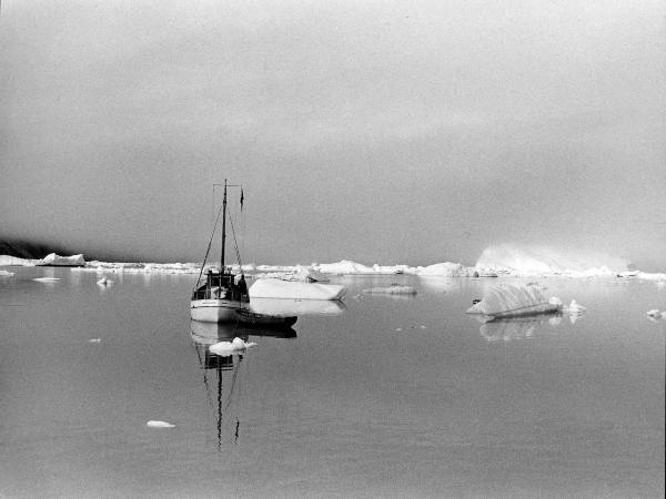 Groenlandia occidentale - Nord dell'Oceano Atlantico - Baia di Baffin - Peschereccio - Icebergs