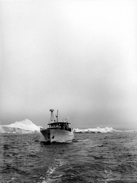 Groenlandia occidentale - Nord dell'Oceano Atlantico - Baia di Baffin - Barca - "Franz Terzo" - Icebergs