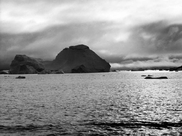 Groenlandia occidentale - Nord dell'Oceano Atlantico - Baia di Baffin - Icebergs