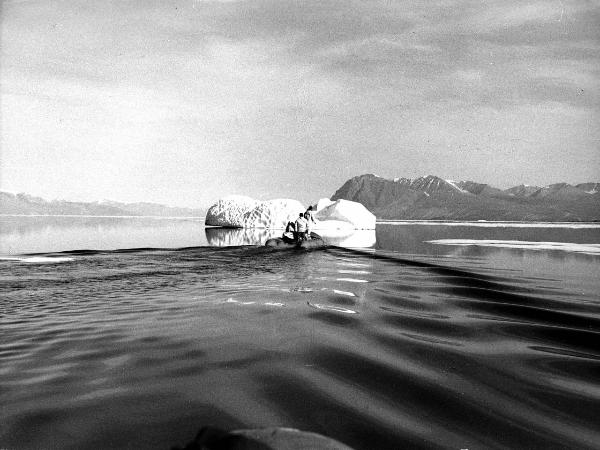 Groenlandia - uomini- gommone -mare -iceberg