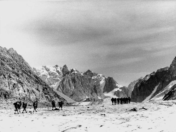 Groenlandia -Isole Menander - montagne - ghiaccio - uomini