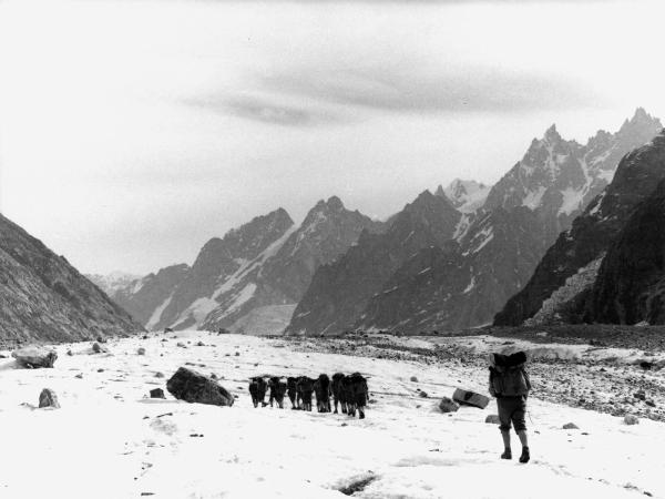 Groenlandia -Isole Menander - montagne - ghiaccio - uomini