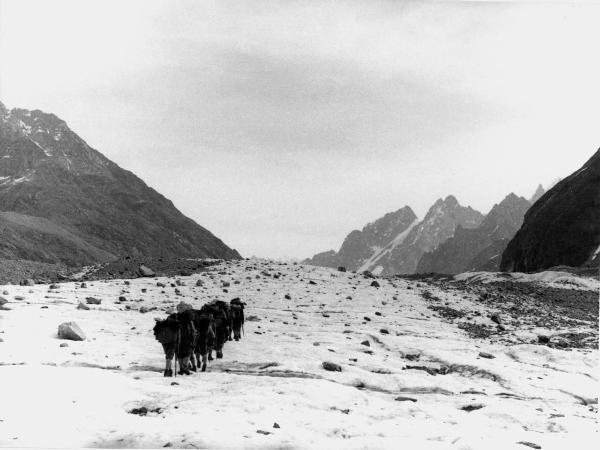 Groenlandia -Isole Menander - montagne - ghiaccio - uomini