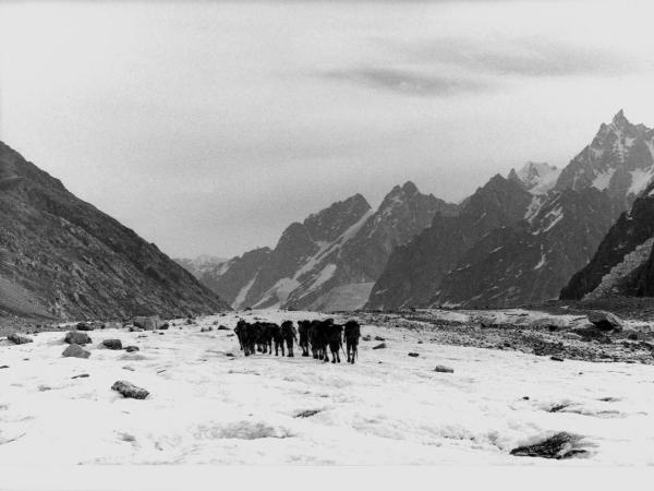 Groenlandia -Isole Menander - montagne - ghiaccio - uomini