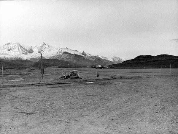 Groenlandia - campo - vette