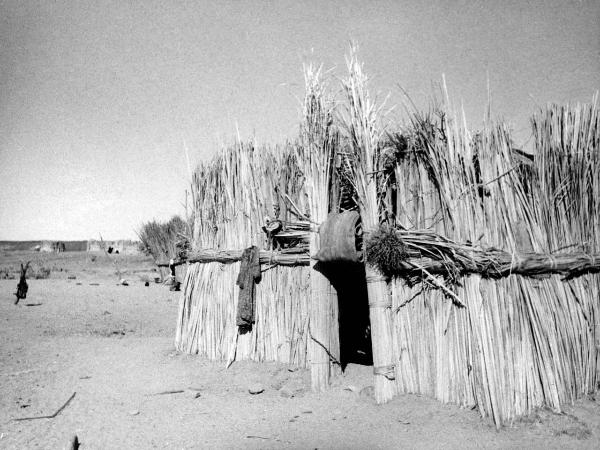 Hoggar - deserto- capanna