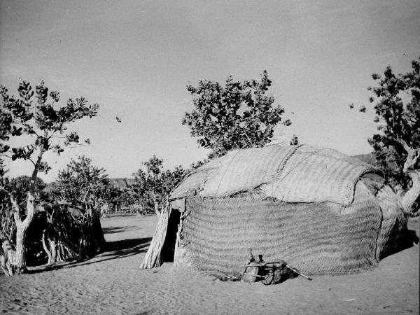 Sahara - deserto - alberi- capanna