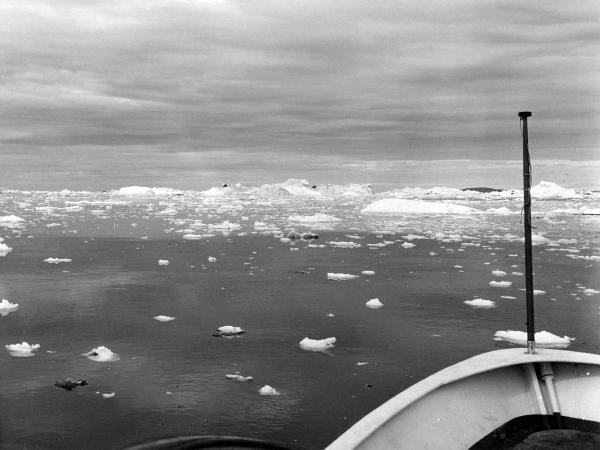 Groenlandia occidentale - Nord dell'Oceano Atlantico - Baia di Baffin? - Particolare di imbarcazione - Prua
