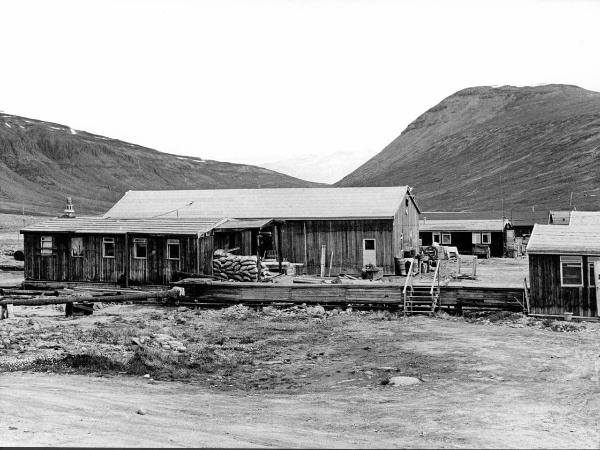 Groenlandia orientale - Mare di Groenlandia - Kong Oscar Fjord - Scoresby Land - Mesters Vig - Miniera - "Nordisk Mineselskab A.S." - Case