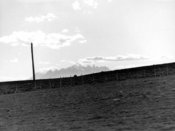 Patagonia cilena - Provincia di Ultima Esperanza - Ande patagoniche - Massiccio del Paine - Torri del Paine - Pampa