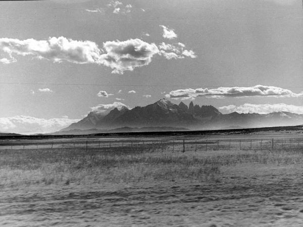 Patagonia cilena - Provincia di Ultima Esperanza - Ande patagoniche - Massiccio del Paine - Torri del Paine - Pampa